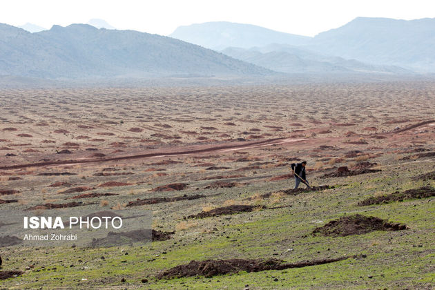 7 عکس متفاوت از قاب دوربین عکاسان | تصاویر 7