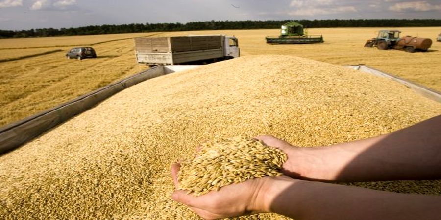 مسئولیت تنظیم بازار به وزارت جهاد برمی‌گردد