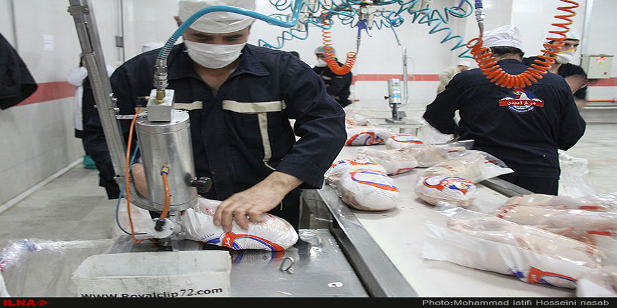 قیمت جدید مرغ اعلام شد 