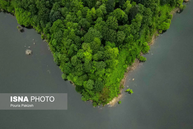 7 عکس متفاوت از قاب دوربین عکاسان | تصاویر 5