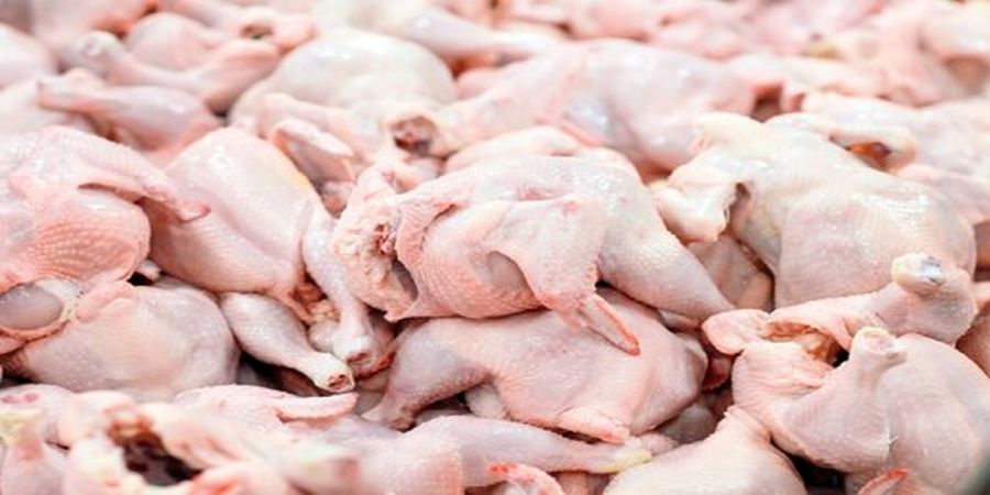 وعده یک مقام مسئول درباره قیمت مرغ


