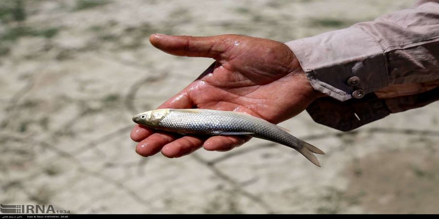 آیا هزینه برای تبلیغات اسلامی واجب تر است یا محیط زیست؟ 2