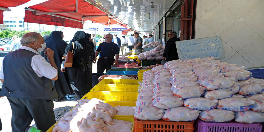 قیمت جدید مرغ