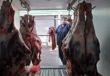 جولان دلالان در بازار گوشت گرمز / صادرات دام مازاد به کشورهای هدف