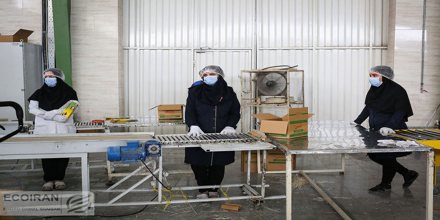 تصویر نگران کننده از بازار کار در ایران / جریان چیست؟