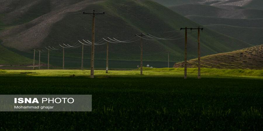 بهار در مسیر «خالد نبی» |تصاویر