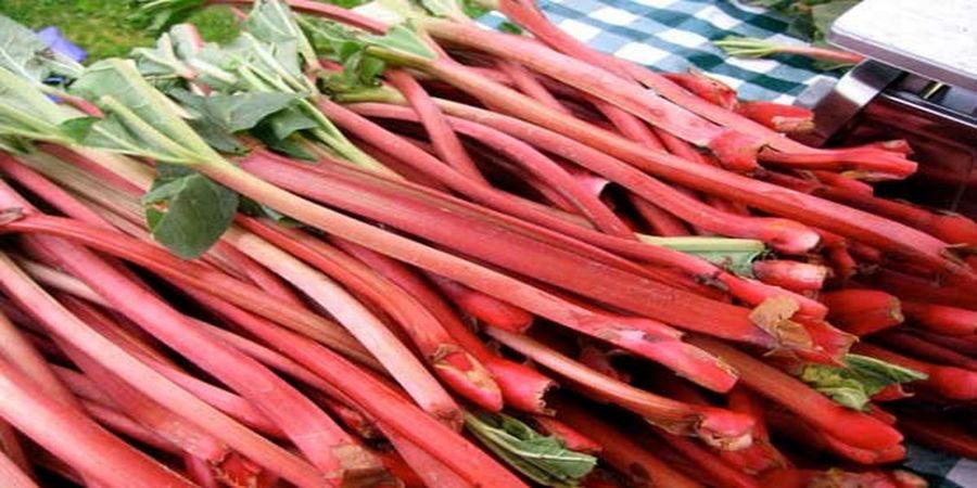 خوردن این خوراکی ها باعث مرگ شما می شود!