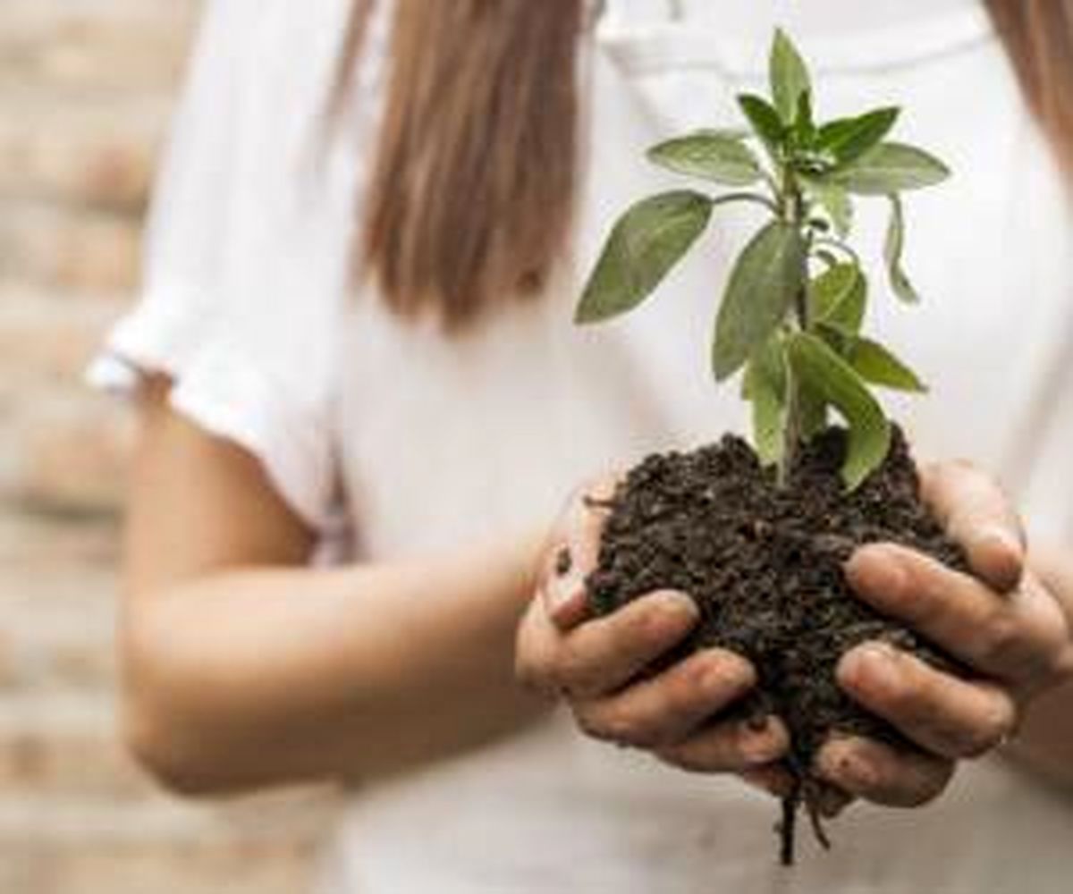 11 روش جالب و ارزان برای تقویت خاک گلدان