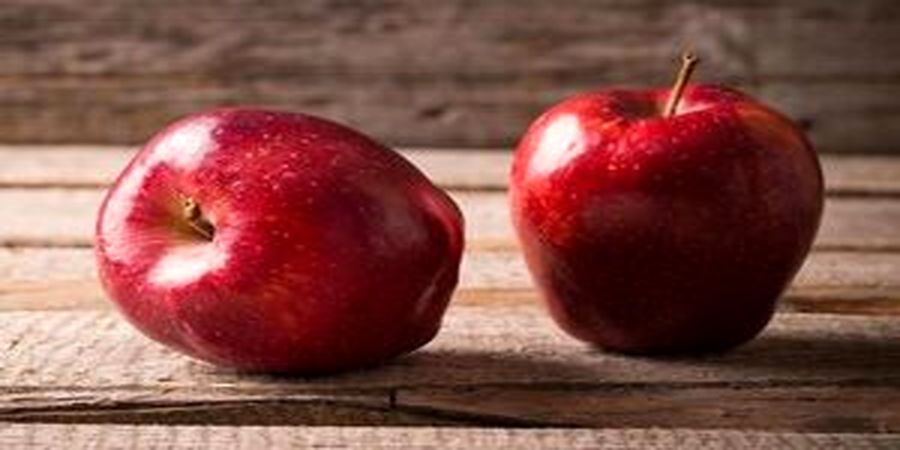 اگر زخم معده دارید، این مواد غذایی را هر روز بخورید 

