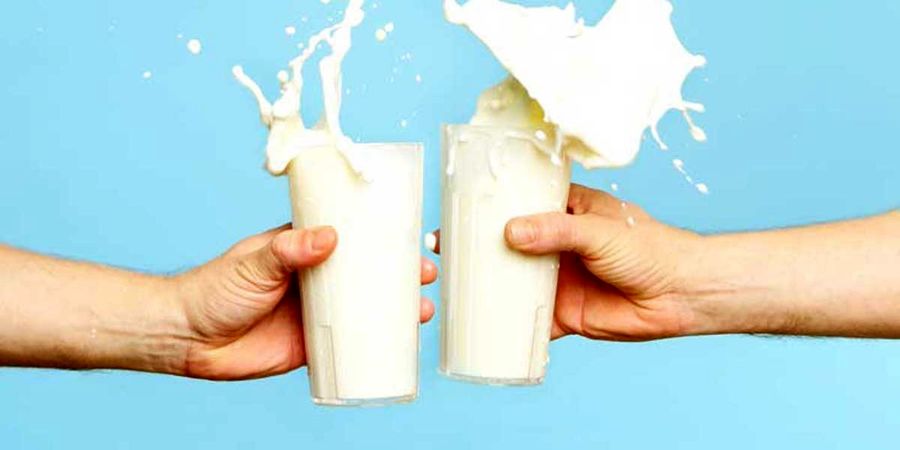 عوارض زیاده روی در مصرف شیر را جدی بگیرید