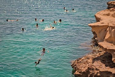 تصاویر بامزه سگ‌ها در حال آب بازی 28